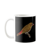 Beautiful Firetail Finch - Stagonopleura  mugs
