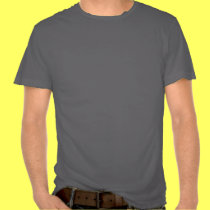 Beautiful Florida! t-shirts