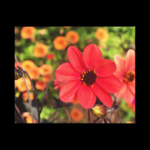 Beautiful Flower canvas prints