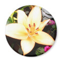 Beautiful flower magnets