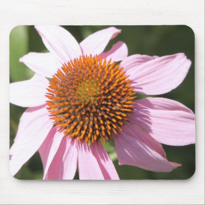 Beautiful Flower Mousepads by joacreations