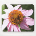 Beautiful Flower mousepads