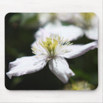 Beautiful flower photos mousepads