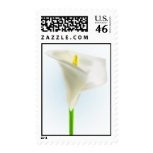 Beautiful Flower Postage