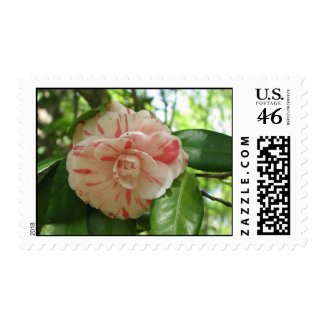Beautiful Flower Postage Stamp stamp