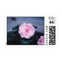 beautiful flower stamps by andrew812 beautiful flower stamps