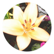 Beautiful flower stickers by Abiudzazzle Beautiful flower stickers