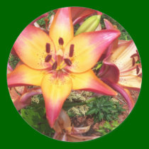 beautiful flower stickers