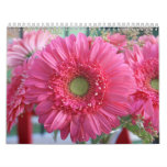 Beautiful Flowers 2010 Calendar