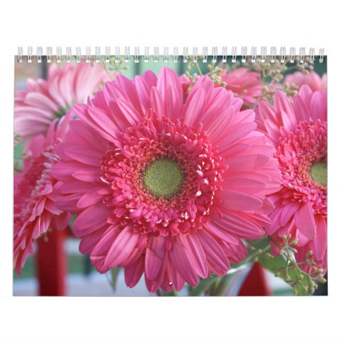 Beautiful Flowers 2012 Calendar calendar