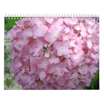 Beautiful Flowers all Year Long-2012 Wall Calendar by mbgphoto