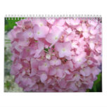 Beautiful Flowers all Year Long-2012 Wall Calendar