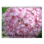 Beautiful Flowers all Year Long