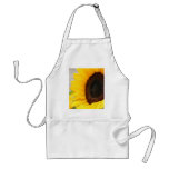 Beautiful flowers aprons