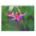 Beautiful Flowers Wall Calendars