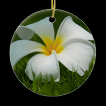 Beautiful Flowers Close-Up - Ornaments ornaments