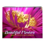 Beautiful Flowers Macro (2012) Calendar