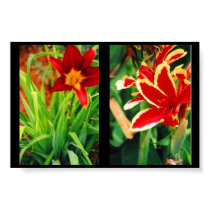 Beautiful Flowers posters