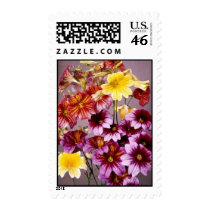 Beautiful Flowers: US Postage Stamps