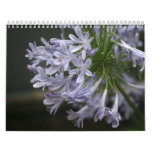 Beautiful Flowers Wall Calendar calendars