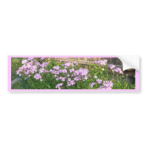 Beautiful Flox Garden Bumper Stickers