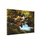 Beautiful forest in autumn canvas prints