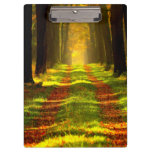 Beautiful Forest in Autumn Clipboard