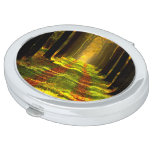 Beautiful Forest in Autumn Compact Mirror