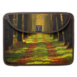 Beautiful Forest in Autumn MacBook Pro Sleeves