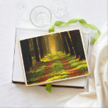Beautiful Forest in Autumn Shortbread Cookie