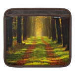 Beautiful Forest in Autumn Sleeve For iPads