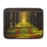 Beautiful Forest in Autumn Sleeves For MacBook Air