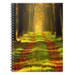 Beautiful Forest in Autumn Spiral Notebook