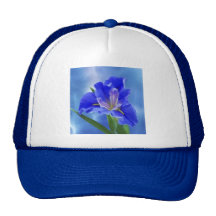 Beautiful fractal iris and its meaning mesh hats
