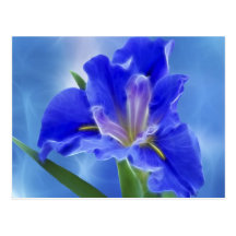 Beautiful fractal iris and its meaning postcards