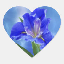 Beautiful fractal iris and its meaning sticker