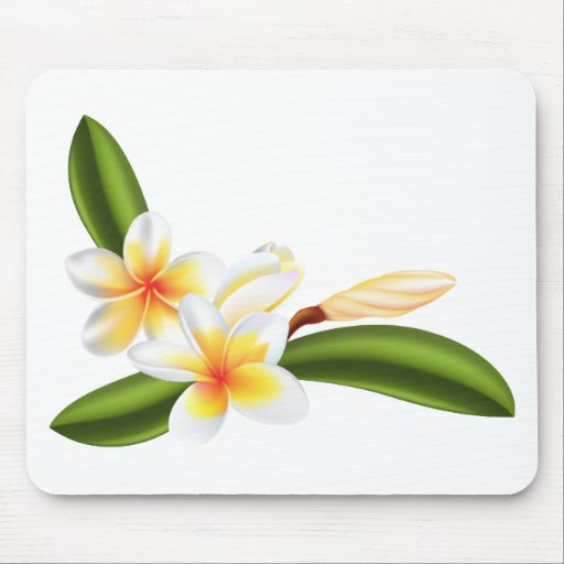 Beautiful frangipani or plumeria flowers mouse mats