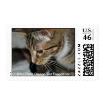Beautiful Frankie Stamp