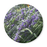 Beautiful French Provence Lavender Magnet