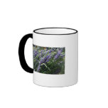 Beautiful French Provence Lavender Coffee Mug