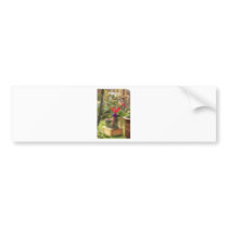 Beautiful Fuschia bumper stickers by Ljrigg Beautiful Fuschia bumper stickers