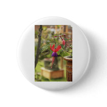 Beautiful Fuschia buttons by Ljrigg Beautiful Fuschia buttons