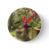 Beautiful Fuschia buttons by Ljrigg Beautiful Fuschia buttons