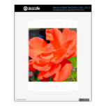 beautiful garden flower in orange skin for the NOOK