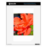 beautiful garden flower in orange skin for the NOOK color