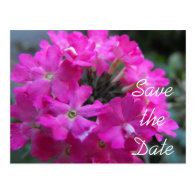 Beautiful  garden flowers save the date postcards post cards