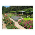 BEAUTIFUL GARDEN posters