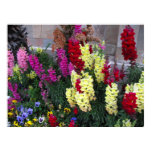 Beautiful Garden Poster posters