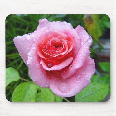 Wet Pink Rose Mousepad by