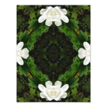Beautiful Gardenia 5 Kaleidoscope 3 Art Photo